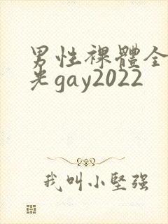 男性裸体全身精光gay2022
