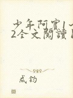 少年阿宾1～72全文阅读目录