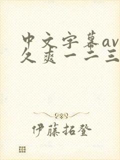 中文字幕av久久爽一二三区封面
