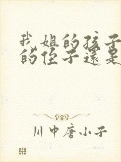 我姐的孩子是我的侄子还是我外甥