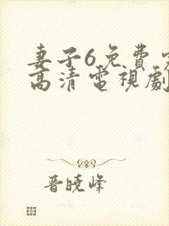 妻子6免费完整高清电视剧在线看