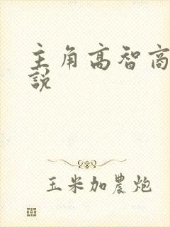 主角高智商的小说封面