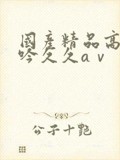 国产精品高潮呻吟久久aⅴ