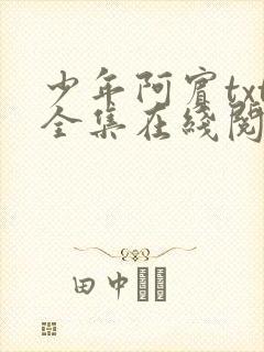 少年阿宾txt全集在线阅读