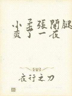 小柔张开腿让我爽了一夜封面