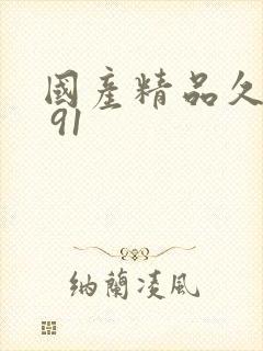 国产精品久久久 91