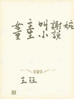 女主叫谢婉宁的重生小说