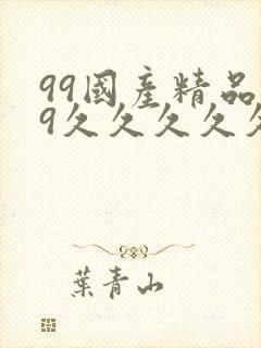99国产精品99久久久久久