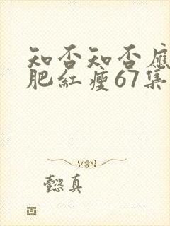 知否知否应是绿肥红瘦67集