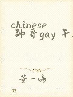 chinese 帅哥gay 午夜封面