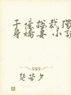 千亿总裁独宠替身娇妻 小说完整