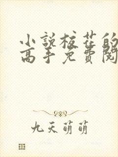 小说校花的贴身高手免费阅读免费