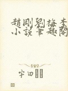 赵刚刘梅李晓雅小说笔趣阁