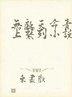 无敌天命青鸾峰上系列小说