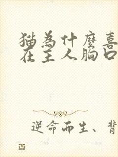 猫为什么喜欢睡在主人胸口