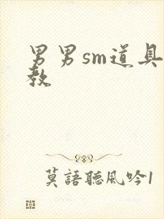 男男sm道具调教