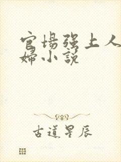 官场强上人妻少妇小说