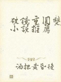 破镜重圆双女主小说推荐