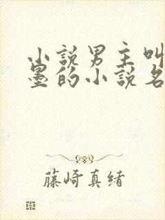 小说男主叫苏子墨的小说名字