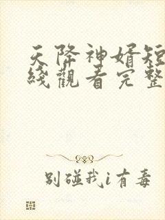 天降神婿短剧在线观看完整版免费