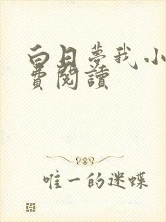 白日梦我小说免费阅读