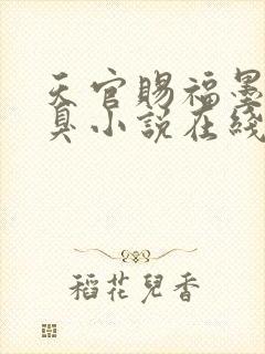 天官赐福墨香铜臭小说在线阅读全文免费