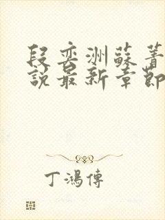 段奕洲苏菁挽小说最新章节更新内容