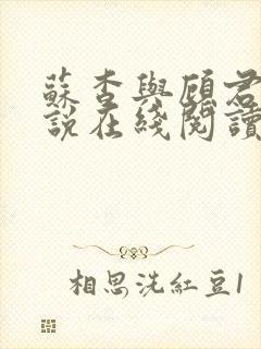 苏杳与顾君亦小说在线阅读笔趣阁封面