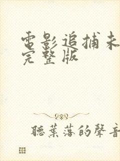 电影追捕未删减完整版