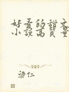 好看的甜文言情小说高质量文笔好