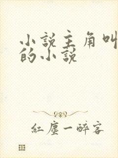 小说主角叫林正的小说