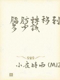 脂肪转移到胸部多少钱封面