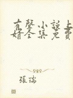 有声小说上门龙婿全集免费听