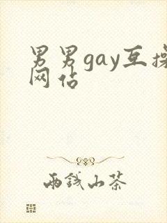 男男gay互操网站