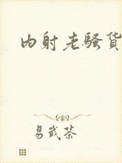 内射老骚货封面