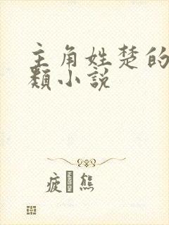 主角姓楚的都市类小说封面