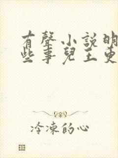 有声小说明朝那些事儿王更新免费音频