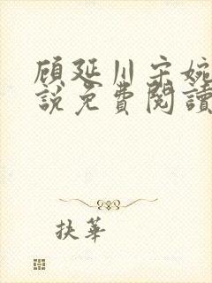 顾延川宋婉琳小说免费阅读全文封面