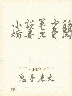 小说军少的律政娇妻免费阅读全文