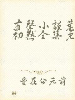 有声小说叶辰萧初然全集免费收听