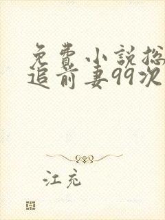 免费小说总裁倒追前妻99次