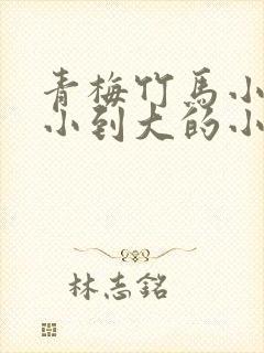 青梅竹马小说从小到大的小说