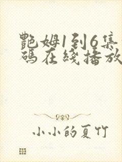 艳姆1到6集转码在线播放封面