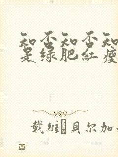 知否知否知否应是绿肥红瘦康姨母