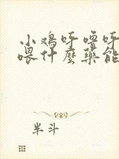 小鸡呼噜呼噜的喂什么药能好使