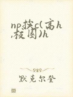 np挨c(高h,校园)h封面