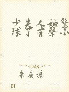 少夫人她惊艳全球了有声小说完整