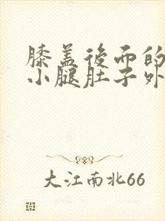 膝盖后面的窝和小腿肚子外侧胀痛