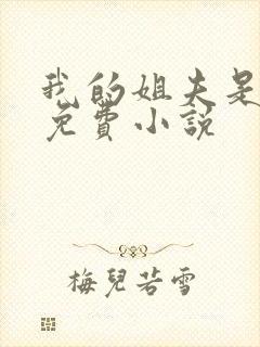 我的姐夫是太子免费小说