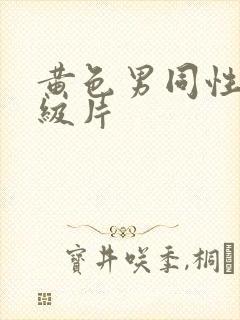 黄色男同性恋一级片封面